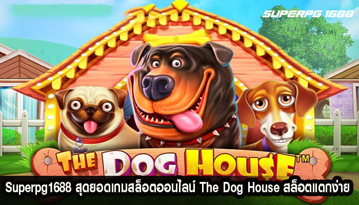 สุดยอดเกมสล็อตออนไลน์ The Dog House สล็อตแตกง่าย